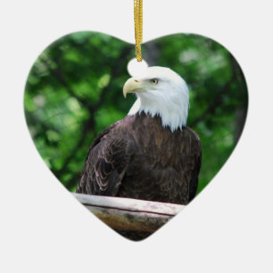 De Cerâmica Ornamento do pássaro da águia americana