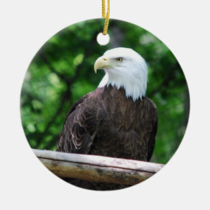 De Cerâmica Ornamento do pássaro da águia americana