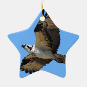 De Cerâmica Ornamento do pássaro do Osprey