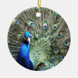 De Cerâmica Ornamento do pavão