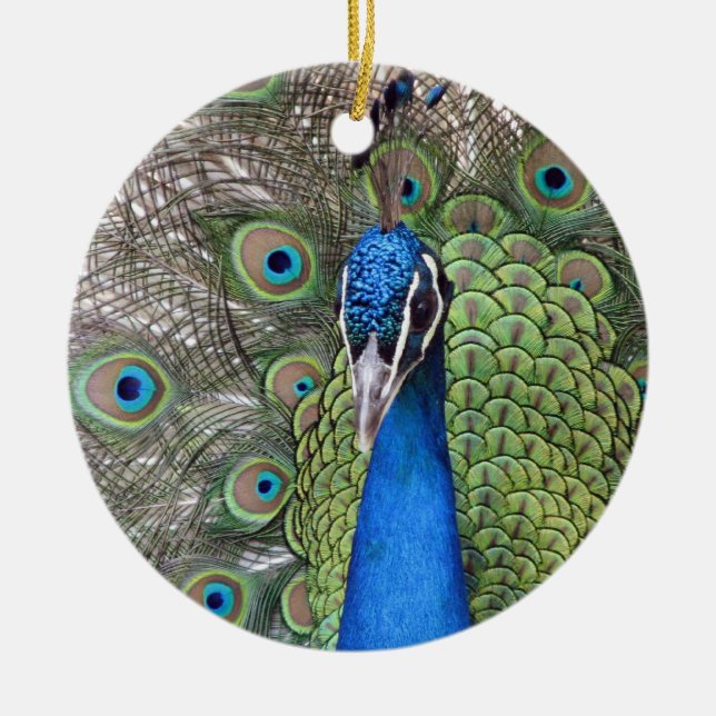 De Cerâmica Ornamento do pavão (Frente)