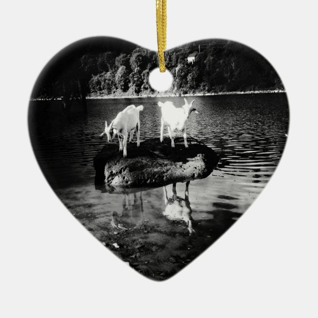 De Cerâmica Ornamento do poder da cabra (Frente)