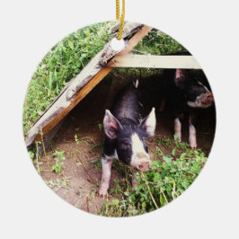De Cerâmica Ornamento do porco do Natal