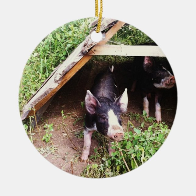De Cerâmica Ornamento do porco do Natal (Frente)