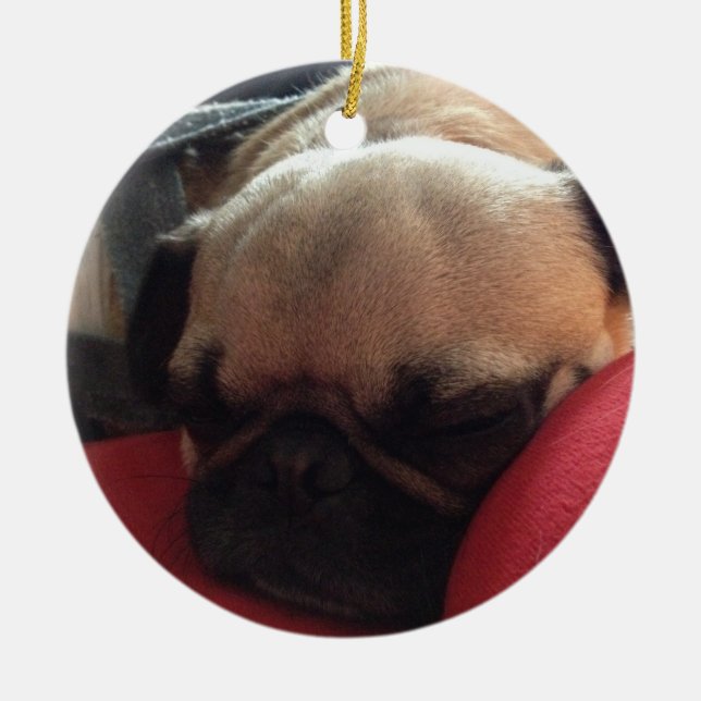 De Cerâmica Ornamento do Pug (Frente)