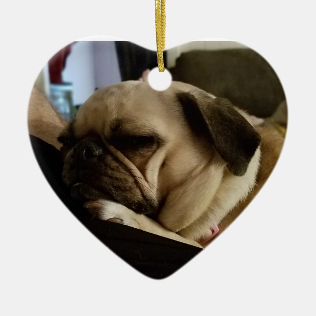De Cerâmica Ornamento do Pug (Frente)