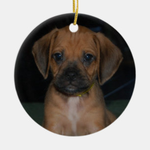 De Cerâmica ornamento do puggle