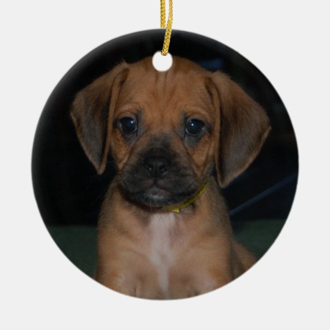 De Cerâmica ornamento do puggle (Frente)