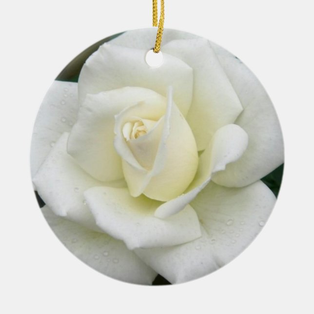 De Cerâmica Ornamento do rosa branco (Frente)