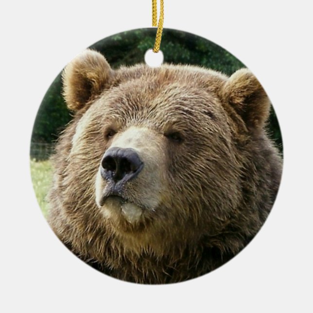 De Cerâmica Ornamento do urso (Frente)