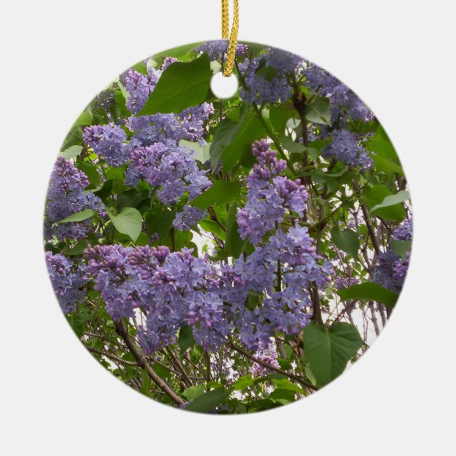 De Cerâmica Ornamento dos Lilacs (Frente)