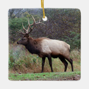 De Cerâmica Ornamento Elk