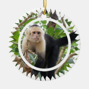 De Cerâmica Ornamento enfrentado branco do macaco do Capuchin