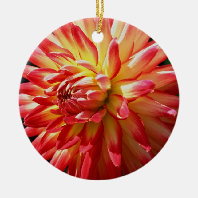 De Cerâmica Ornamento Flor Amarelo-Vermelho Dahlia (Frente)