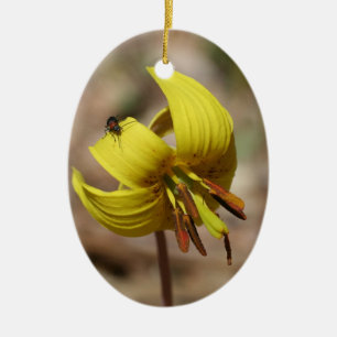 De Cerâmica Ornamento Floral Lily Trout Amarelo