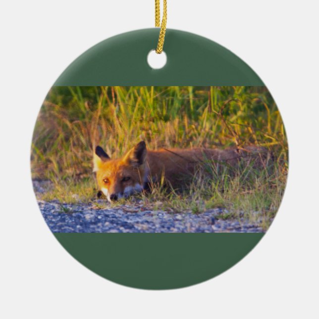 De Cerâmica Ornamento Fotográfico Fox (Frente)