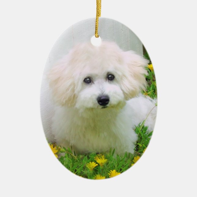 De Cerâmica Ornamento frente e verso do feriado da foto (Frente)