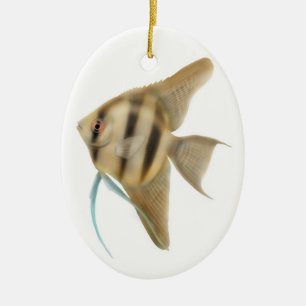 De Cerâmica Ornamento gracioso do Angelfish