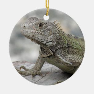 De Cerâmica Ornamento Horned da iguana