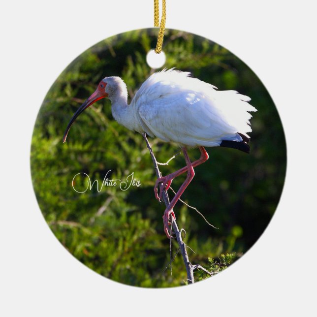 De Cerâmica Ornamento Ibis Branco (Frente)
