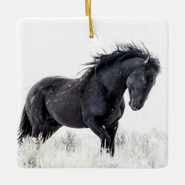 De Cerâmica Ornamento "Ice Dancer" (Frente)