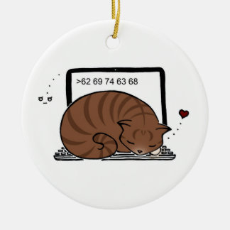 De Cerâmica Ornamento laptop Cat Bed (Brown Tabby)