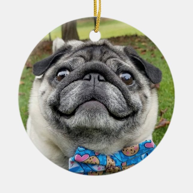 De Cerâmica Ornamento Lil Pickles Da Pug (Frente)