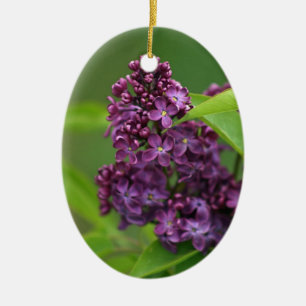 De Cerâmica Ornamento Lilac Roxo
