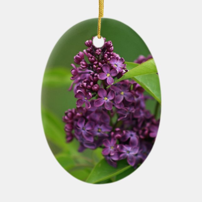 De Cerâmica Ornamento Lilac Roxo (Frente)