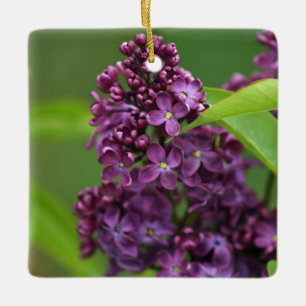 De Cerâmica Ornamento Lilac Roxo