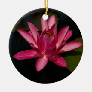 De Cerâmica Ornamento Lótus Waterlily Flor Rosa