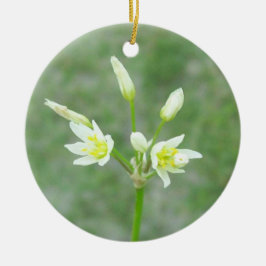 De Cerâmica Ornamento Memorial Yard Flowers