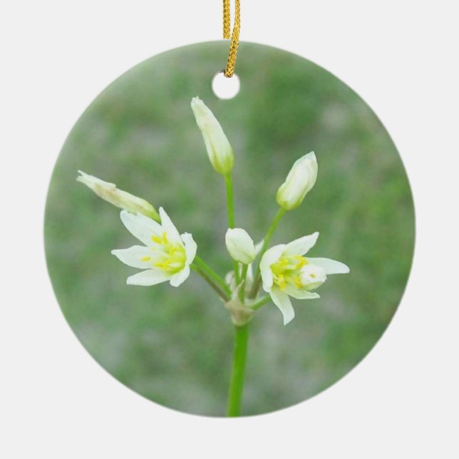 De Cerâmica Ornamento Memorial Yard Flowers (Frente)