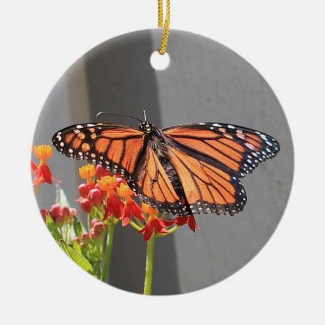 De Cerâmica Ornamento Monarca (Frente)