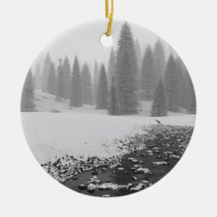 De Cerâmica Ornamento nevado da foto da angra