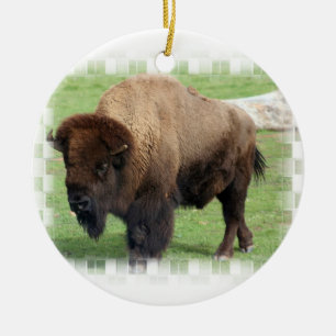 De Cerâmica Ornamento norte-americano do bisonte