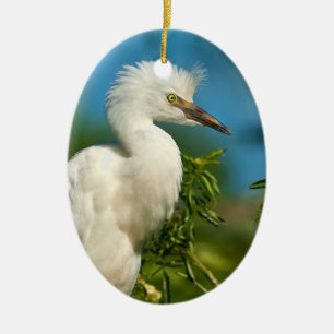De Cerâmica Ornamento novo do Egret nevado