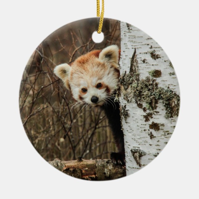 De Cerâmica Ornamento Panda Vermelho (Frente)