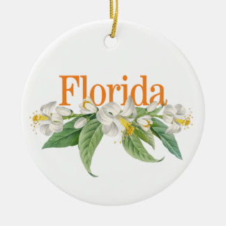 De Cerâmica Ornamento Personalizável da Flórida com Laranja Bl