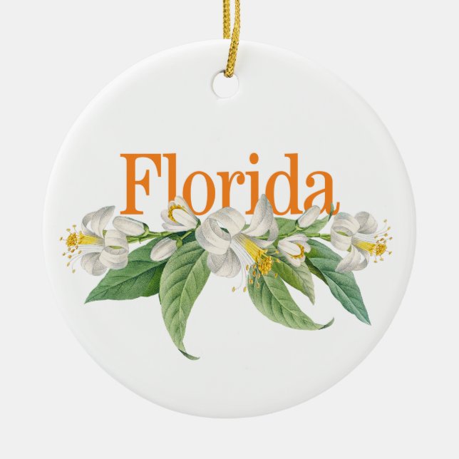 De Cerâmica Ornamento Personalizável da Flórida com Laranja Bl (Frente)