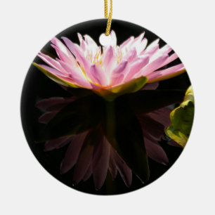 De Cerâmica Ornamento por Água do Lotus Rosa
