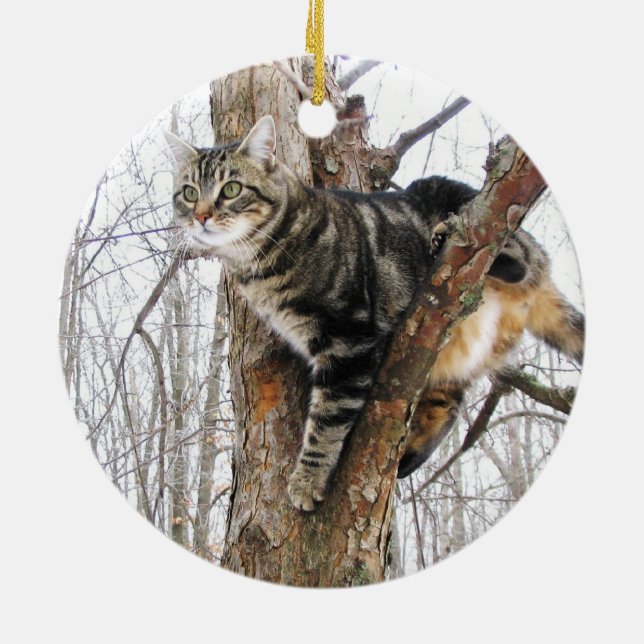 De Cerâmica Ornamento por Cat. (Traseira)