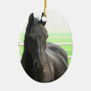 De Cerâmica Ornamento preto do cavalo do frisão