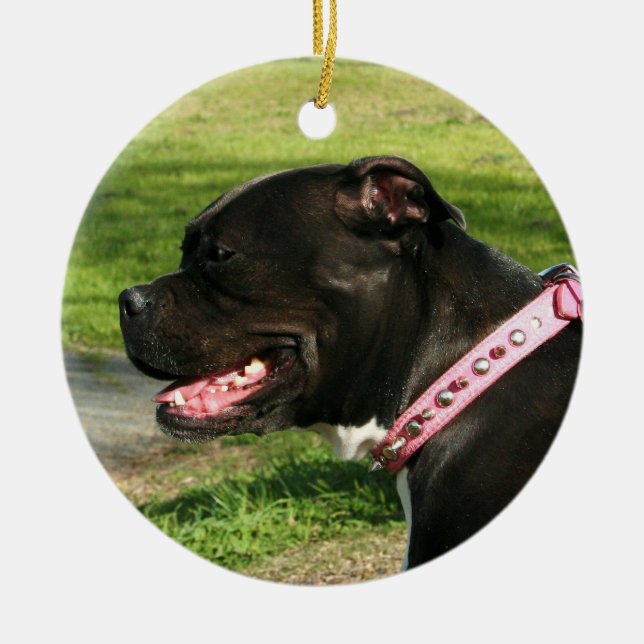 De Cerâmica Ornamento preto do pitbull (Frente)