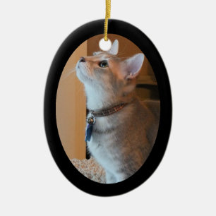 De Cerâmica Ornamento quadro foto do Oval 2-Sided do gatinho