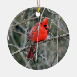 De Cerâmica Ornamento Real Vermelho Cardinal Cerâmico