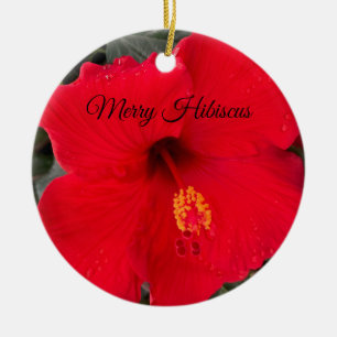 De Cerâmica Ornamento Red Hibiscus