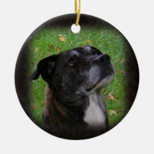 De Cerâmica Ornamento regular do ~ do cão