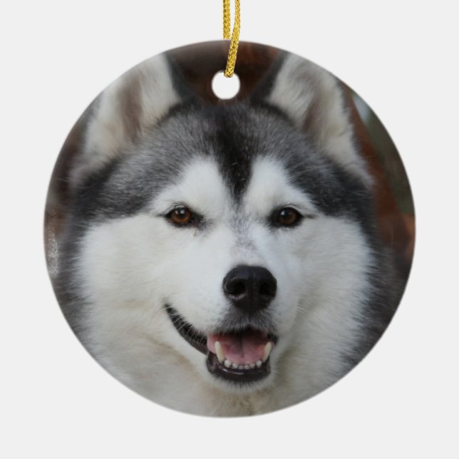 De Cerâmica Ornamento ronco do cão (Frente)