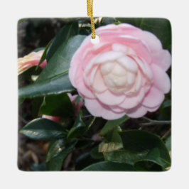 De Cerâmica Ornamento Rosa Camellia